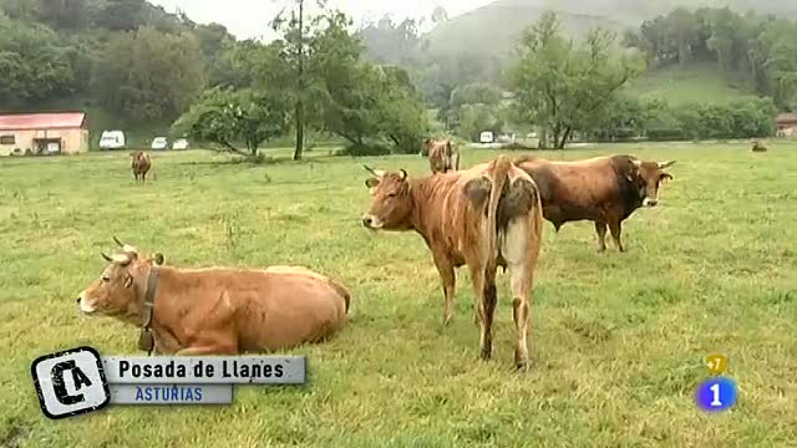 Comando Actualidad - Renovarse o morir - Cabras francesas