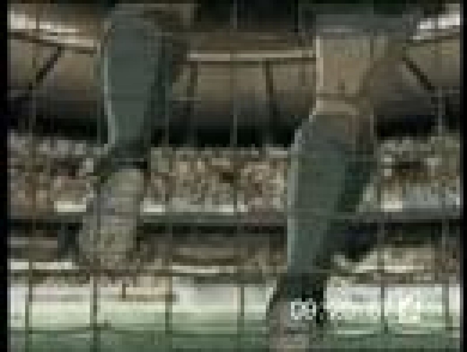 Cap10. Campeones hacia el Mundial: Oliver y Benji 