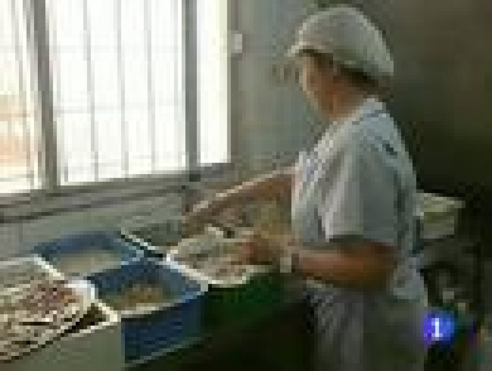 El Congreso aprueba el plan contra el empleo sumergido