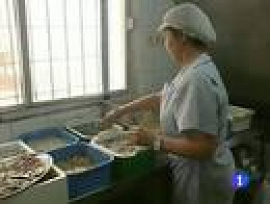 Telediario 1 - Plan contra el empleo sumergido