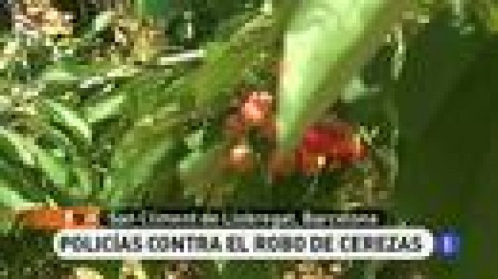 España Directo - Ladrones de cerezas