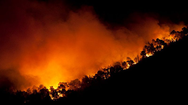  El incendio de Ibiza ha arrasado dos mil hectáreas