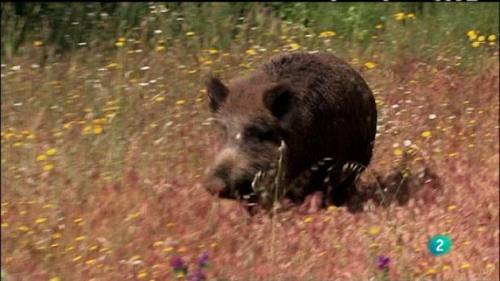 Biodiario - Biodiario - 27/05/11