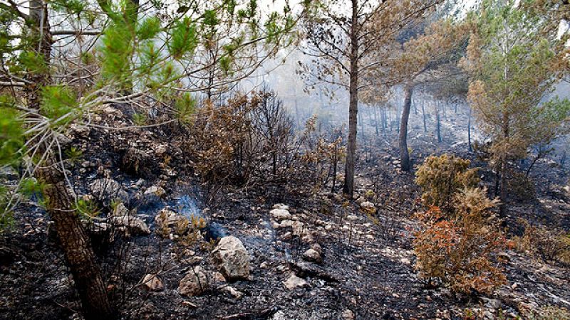  El fuego sigue activo en Ibiza pero los equipos de extinción son optimistas