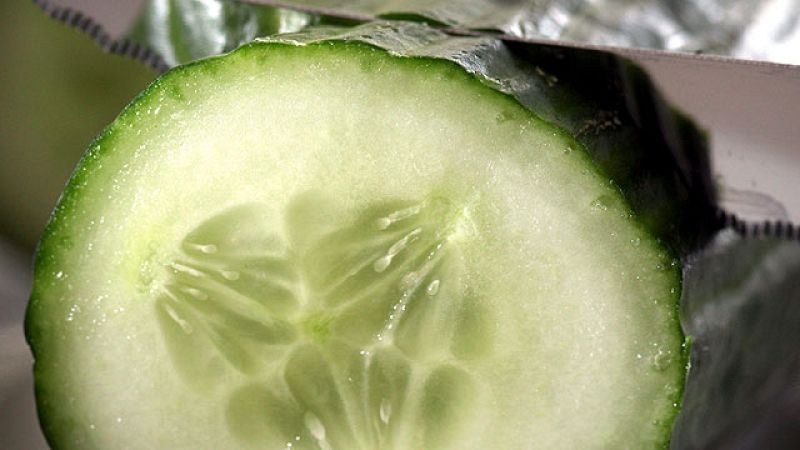  La Comisión Europea dice que los pepinos no tuvieron por qué contaminarse en España