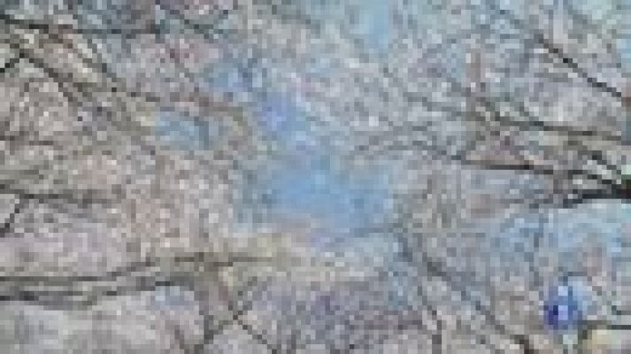 El tiempo - Fin de Semana de Tormentas