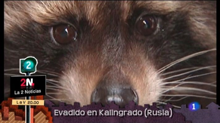 Lo que hay que ver ... - Lo que hay que ver - 28/05/11