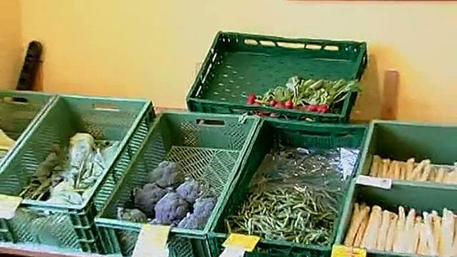 Se sabe que los pepinos contaminados salieron de Almería