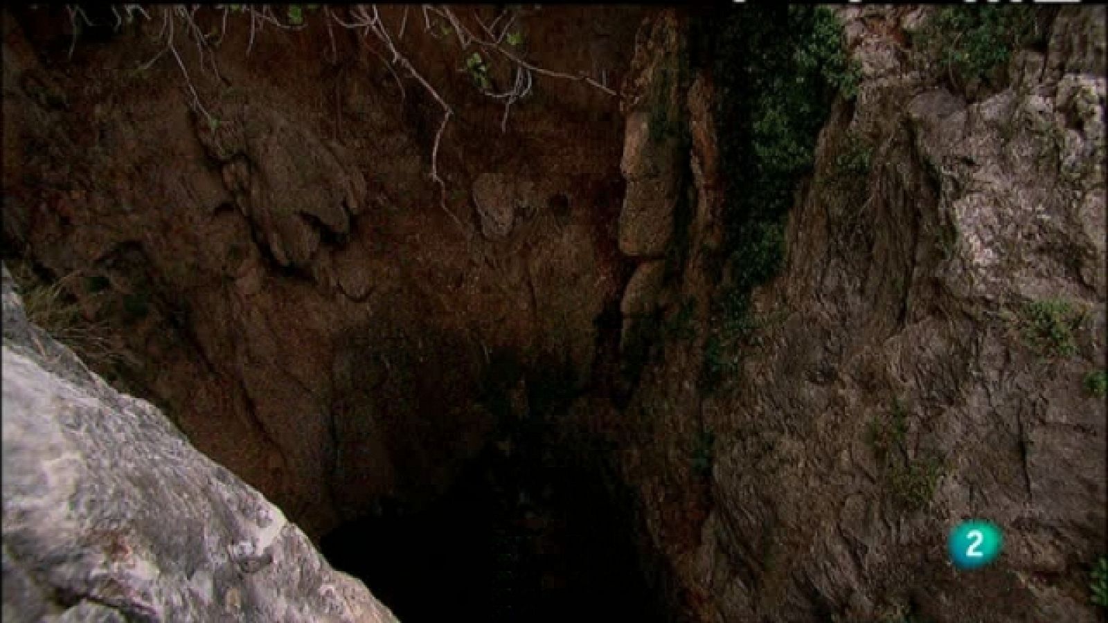 Biodiario - 28/05/11 - Ver ahora