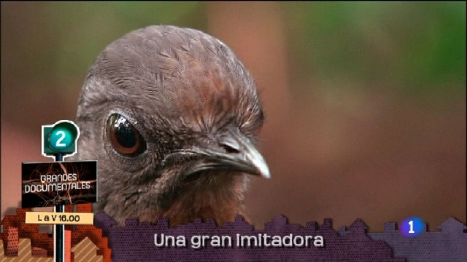 Lo que hay que ver - 29/05/11 - Ver ahora