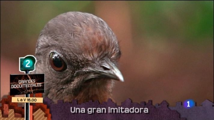 Lo que hay que ver ... - Lo que hay que ver - 29/05/11