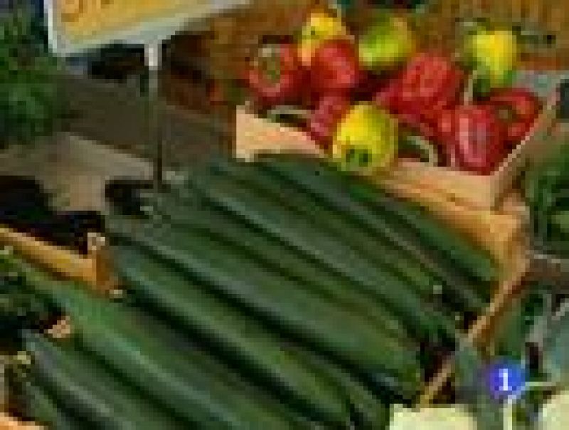  Varios países bloquean la entrada de hortalizas procedentes de Almería