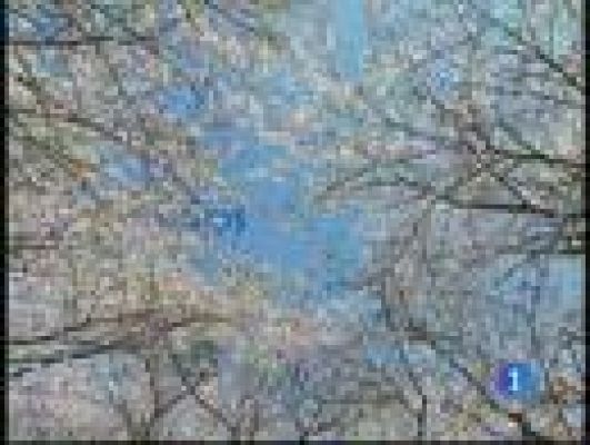 L'Informatiu - El temps - 29/05/11