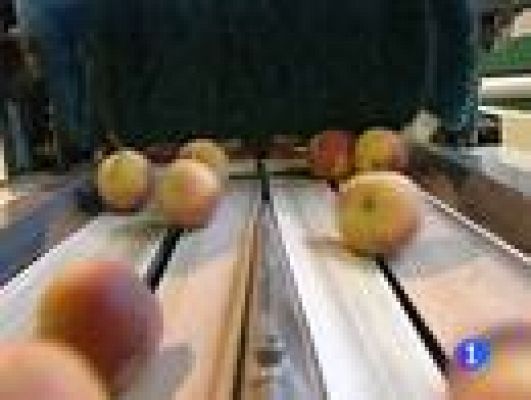 Telediario 1 - Los exportadores españoles dicen que la desconfianza generada ha provocado problemas en toda Europa