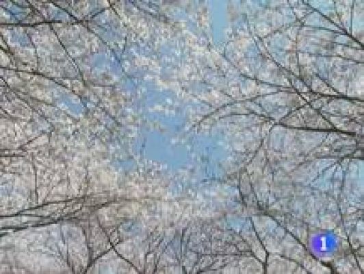 Informativo Telerioja - El tiempo en La Rioja - 31/05/11