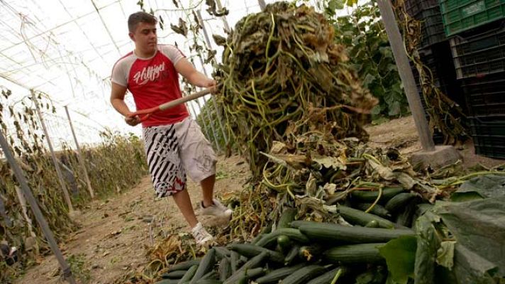  - La investigación sobre la infección por E. coli vuelve al punto cero