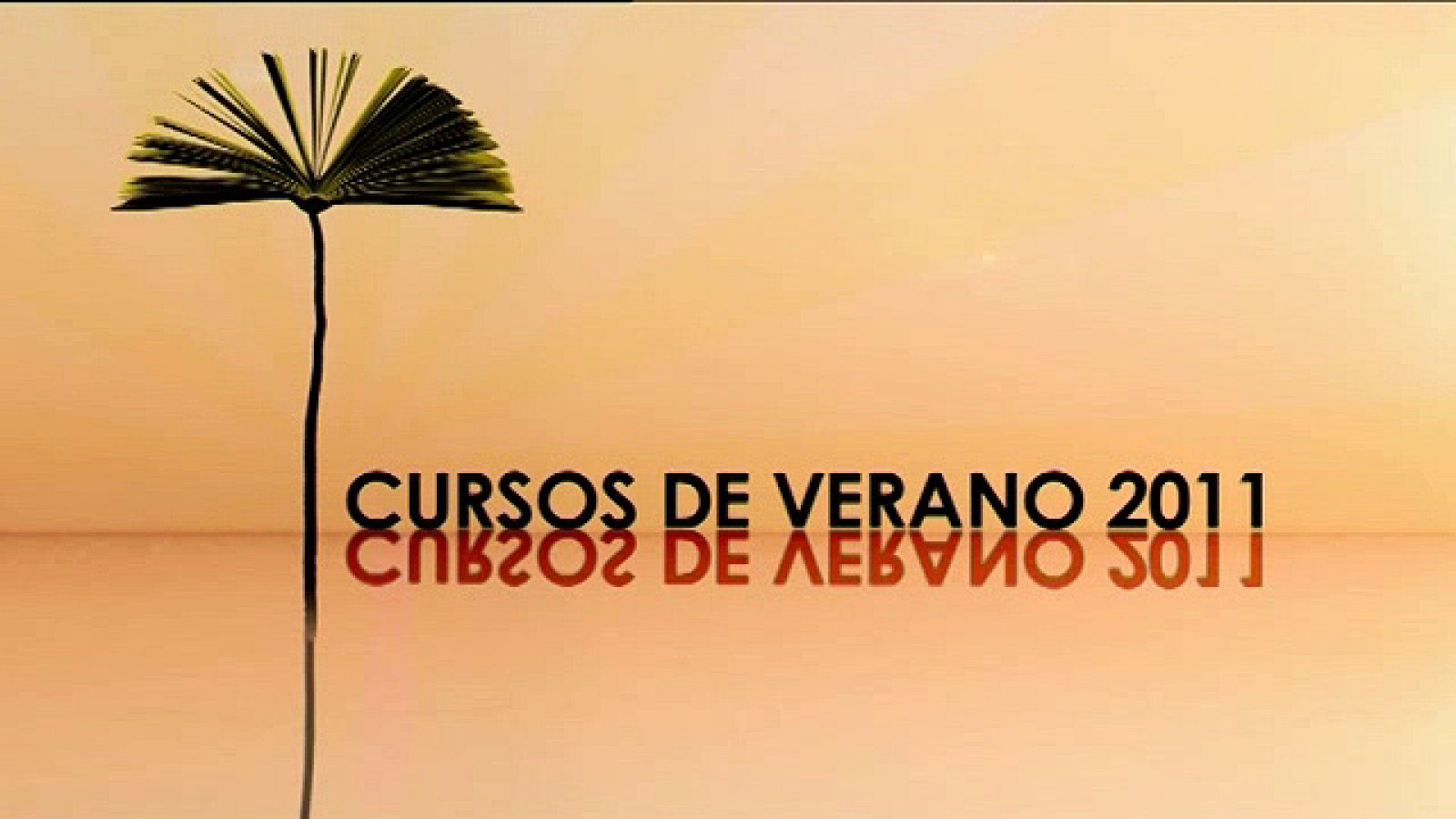 Cursos de verano 2011
