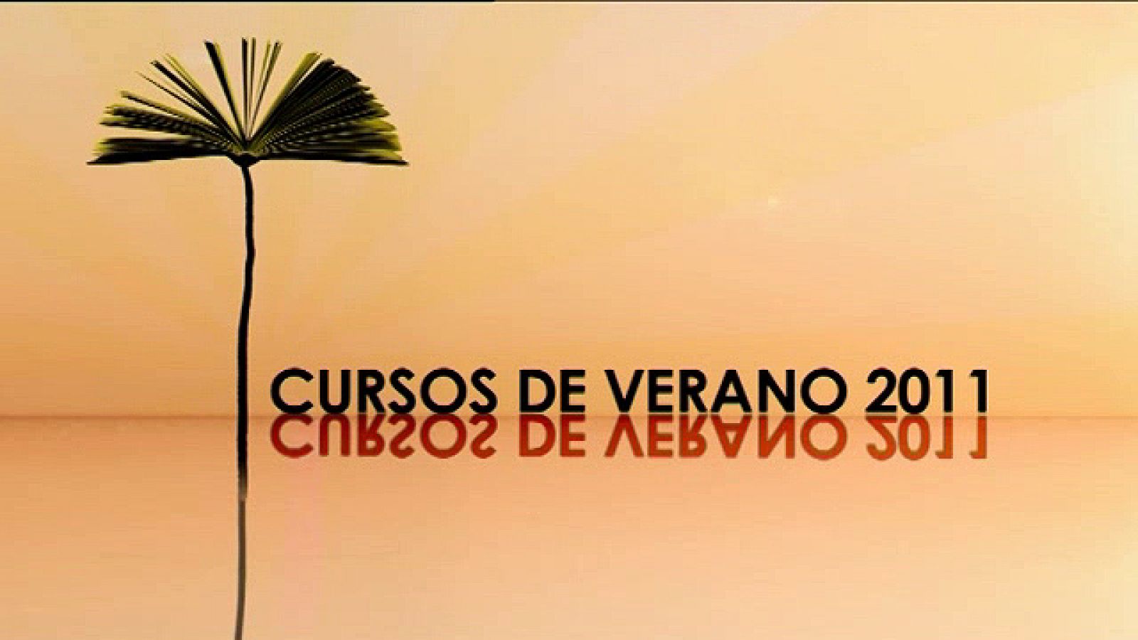 UNED: Cursos de verano 2011 | RTVE Play