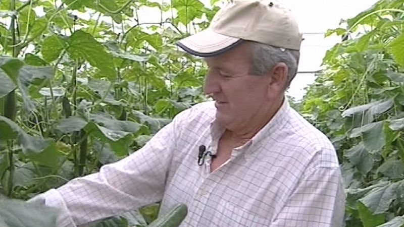 Las pérdidas económicas en el sector agrícola son aún difíciles de cuantificar 