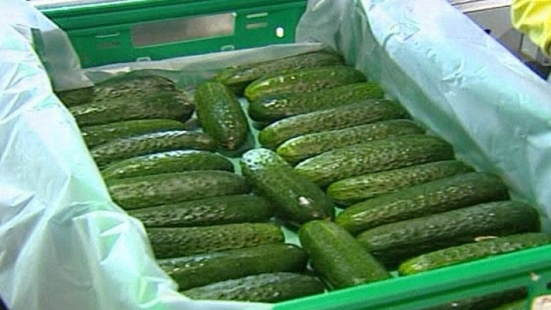  Las autoridades españolas alaban los rigurosos controles sanitarios