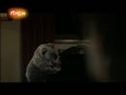  - El Getafe, vacío de sentimientos