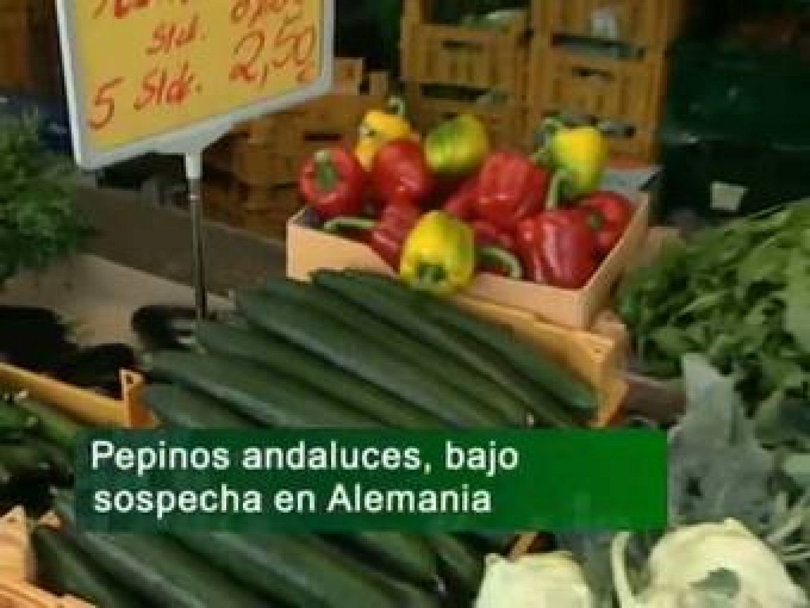 Noticias Andalucía 27/05/11 | Ver