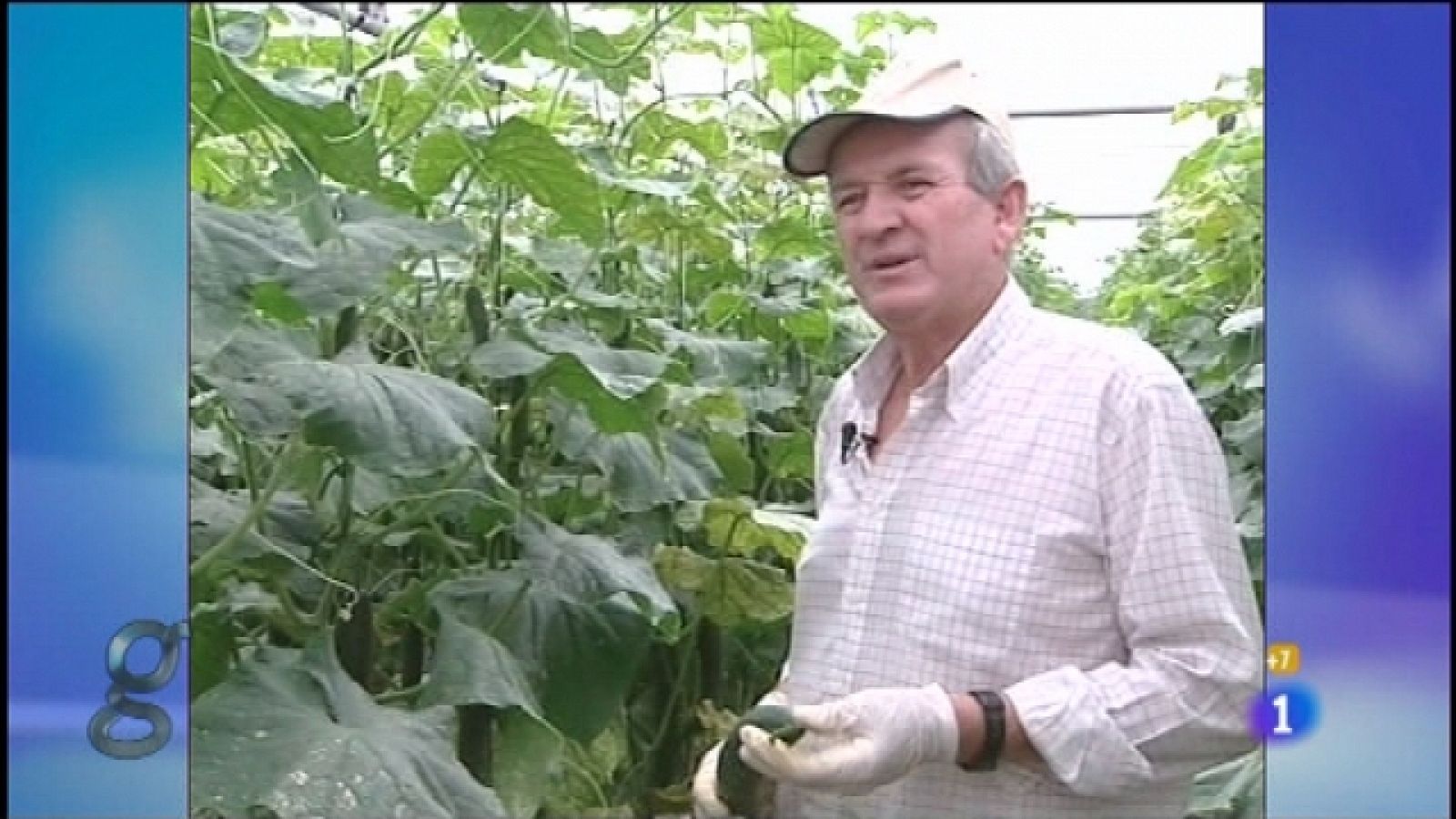 Gente - 01/06/11 - Ver ahora