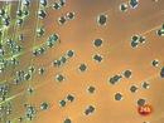 Informativo 24h - La CE levanta la alerta