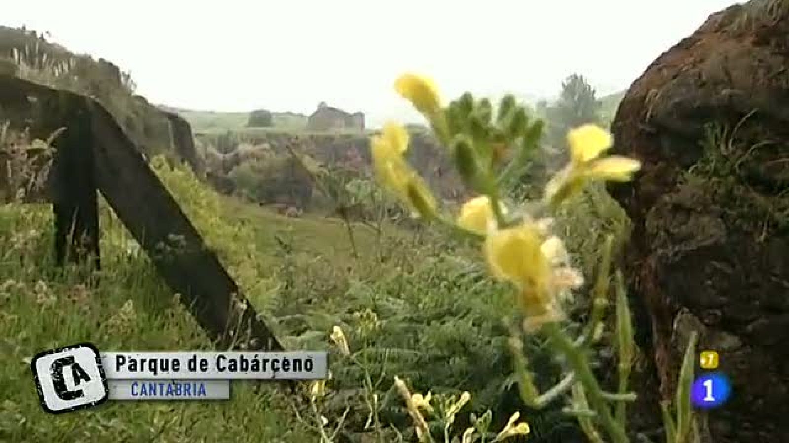 Comando Actualidad - Con vistas al parque - Cabarceno