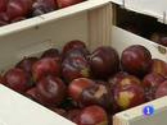 Telediario 1 - Promoción de productos españoles