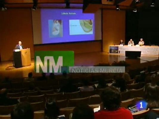 Noticias Murcia - Noticias Murcia.(02/06/2011).