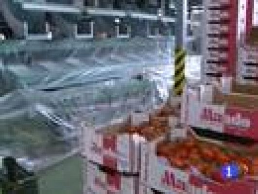 Telediario 1 - 75 millones de pérdidas por pepinos