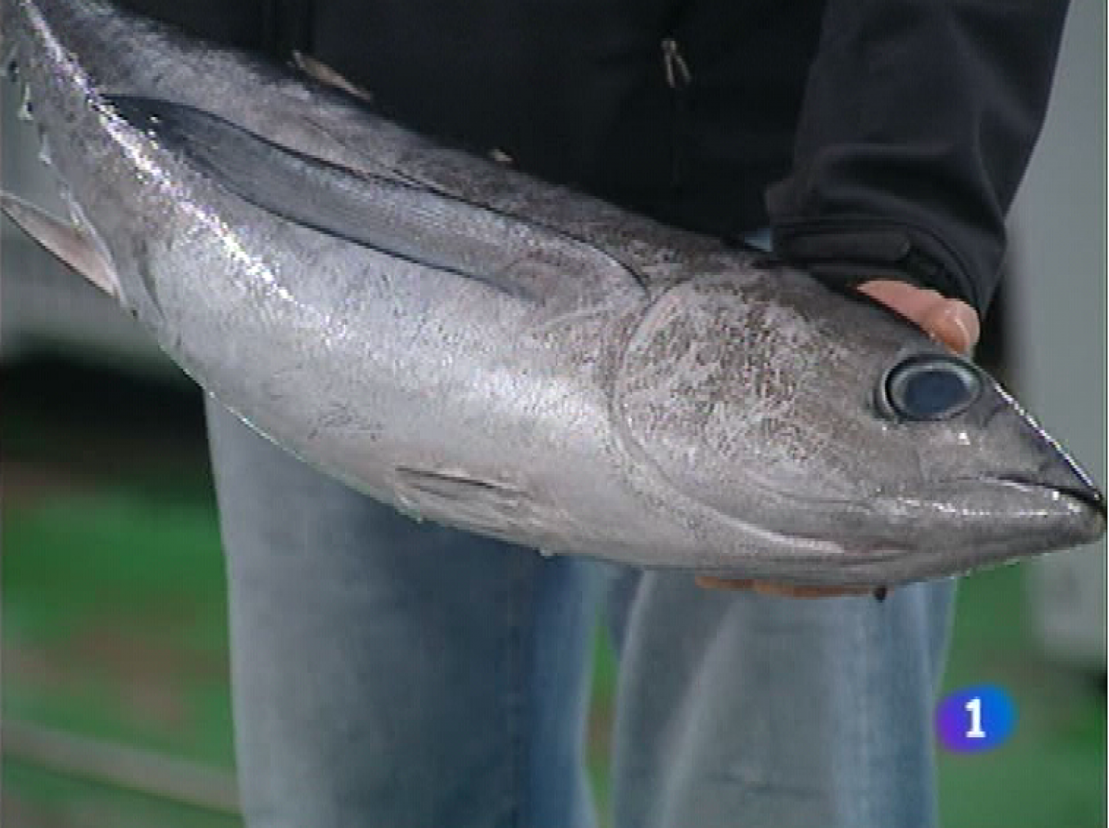 Panorama Regional - 03/06/11 | Ver