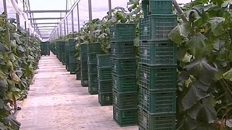 Hamburgo abre poco a poco las puertas a los productores españoles