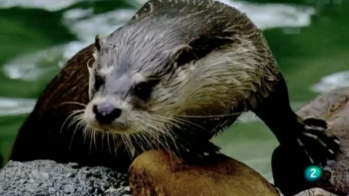 Biodiario - Biodiario - 03/06/11