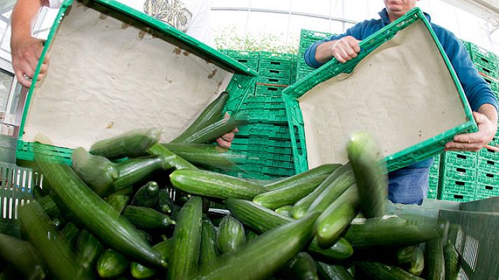 Telediario 1 - La crisis del pepino en España