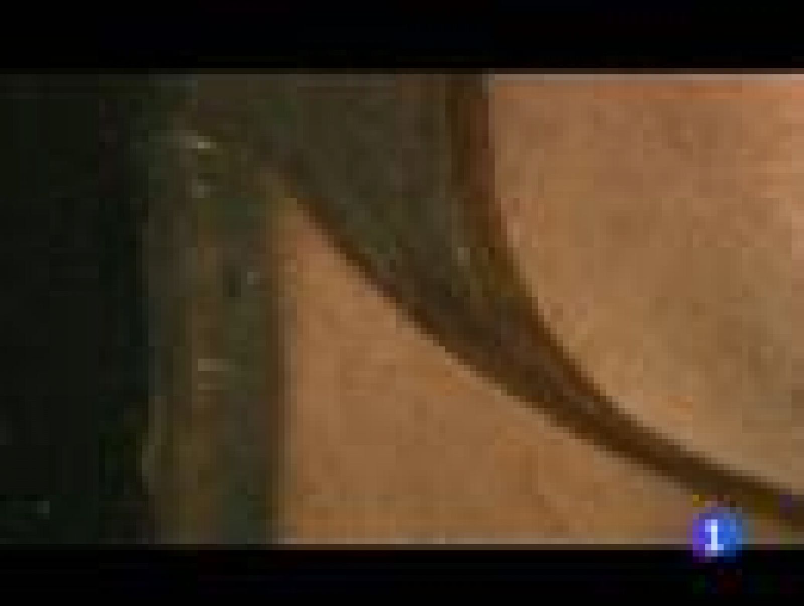 Informe Semanal: Un Da Vinci en palacio