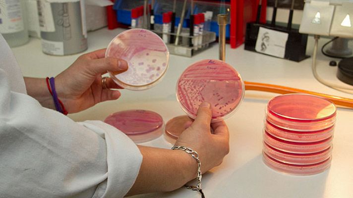 Telediario 1 - No hay afectados por E. Coli aquí