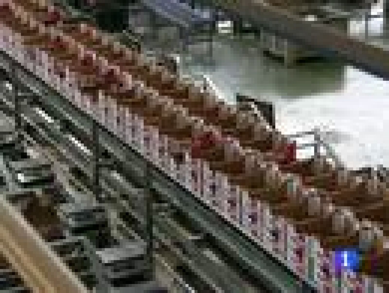 Informe Semanal: Parón en la huerta del sur