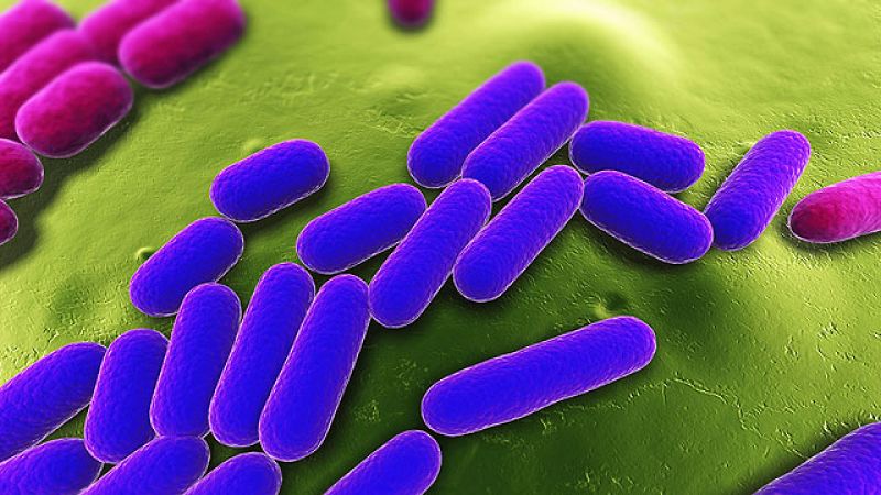 El Gobierno español y el alemán se reunirán el miércoles para pactar ayudas al sector hortofrutícula