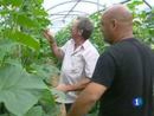 L'Informatiu - L'informatiu en 3 minuts - 6/06/2011