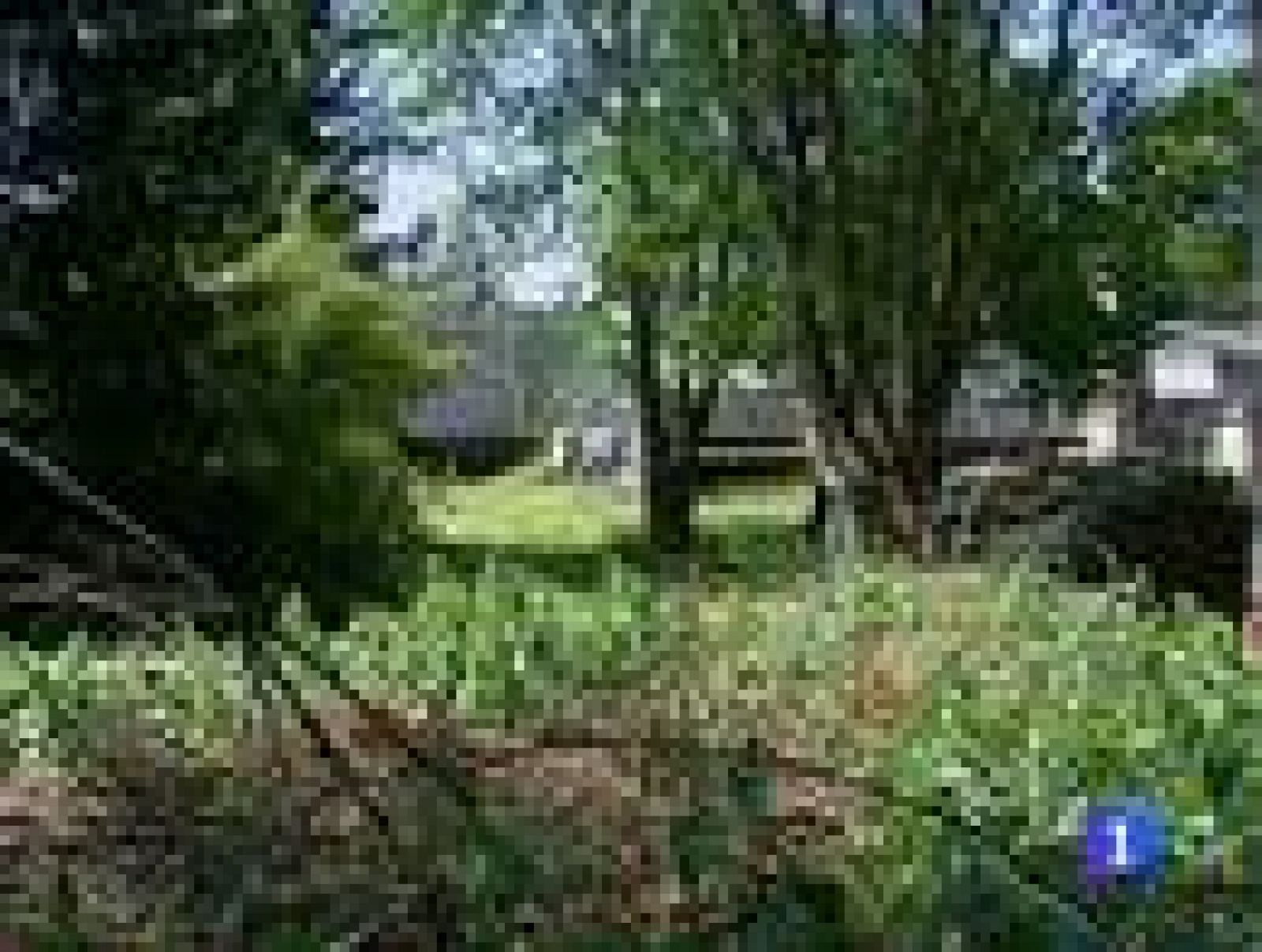 La crisis alimentaria puede tener el origen en una granja de Baja Sajonia