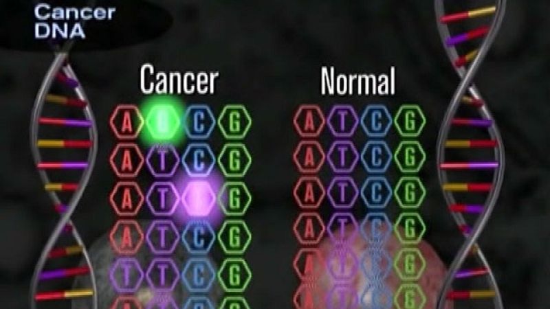 El 20% de los enfermos de cáncer de pulmón tiene un mutación genética que permite sustituir la quimioterapia.