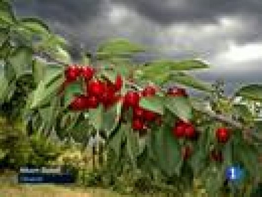 L'Informatiu - El temps - 07/06/2011