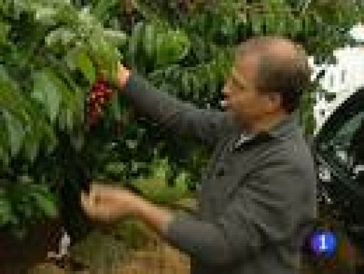 Telediario 1 - 23 provincias están en alerta por lluvias y tormentas