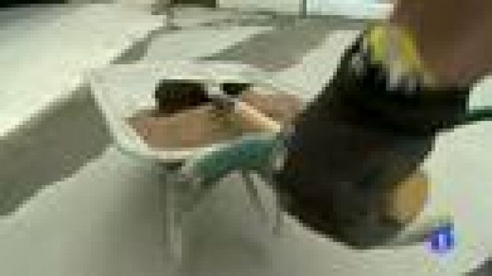 Destino: España - Euskadi IV - Andrei