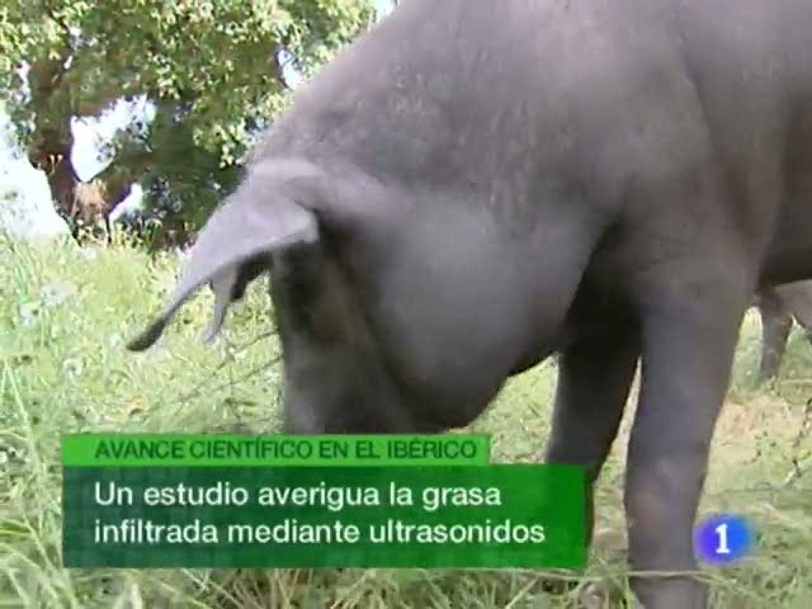 Noticias de Extremadura: La Comunidad de Extremadura en 2' - 08/06/11 | RTVE Play