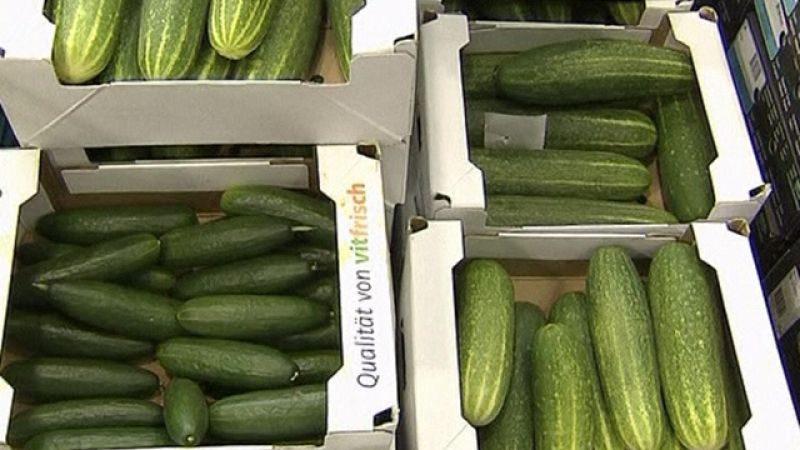 Alemania mantiene la recomendación de no consumir verdura cruda