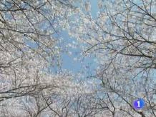 Informativo Telerioja - El tiempo en La Rioja - 08/06/11