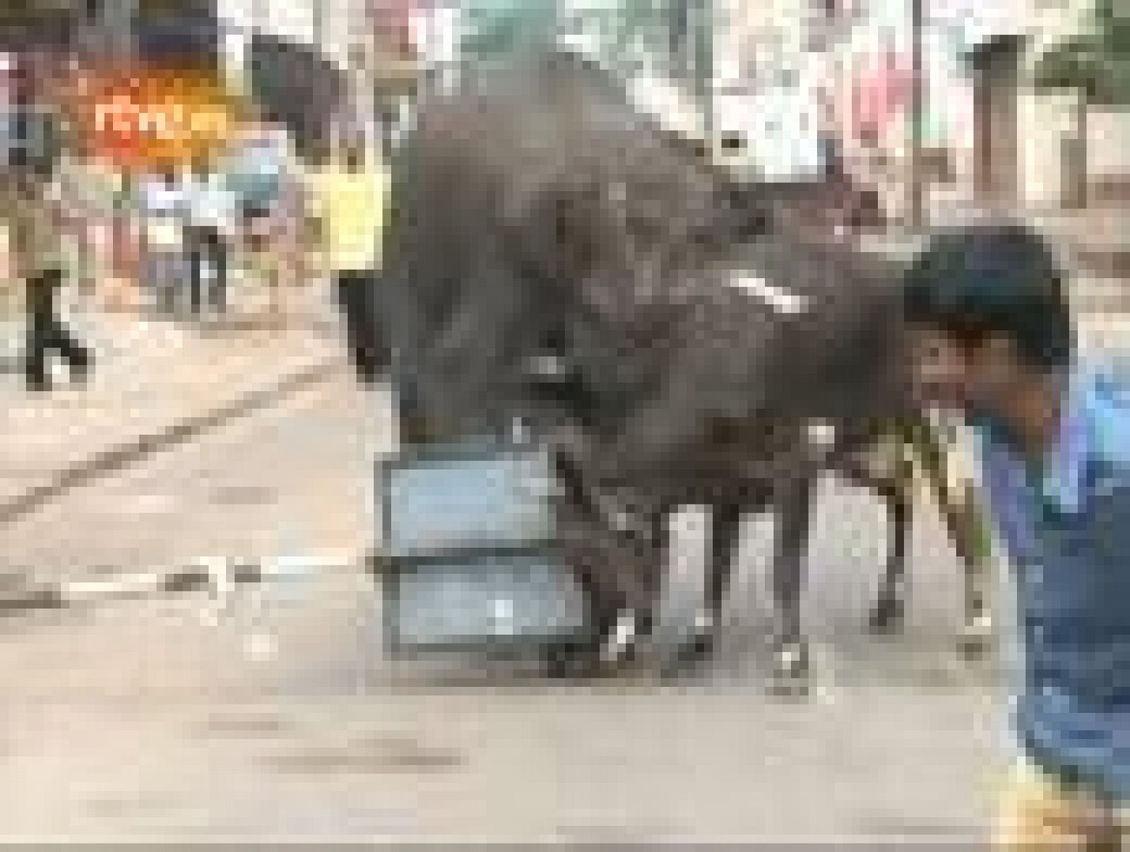  Dos elefantes salvajes han entrado este miércoles en una ciudad del sudoeste indio y han matado a una persona tras causar el pánico entre la población. El suceso se produjo en Mysore, en el estado de Karnataka y donde los paquidermos han estado dura